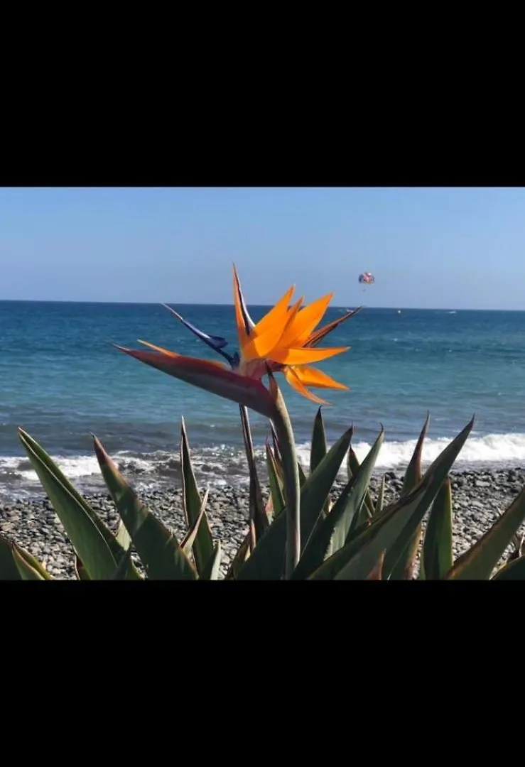 Apartment Mary Playa 1 Direkt Am Meer Playa Del Ingles Spain